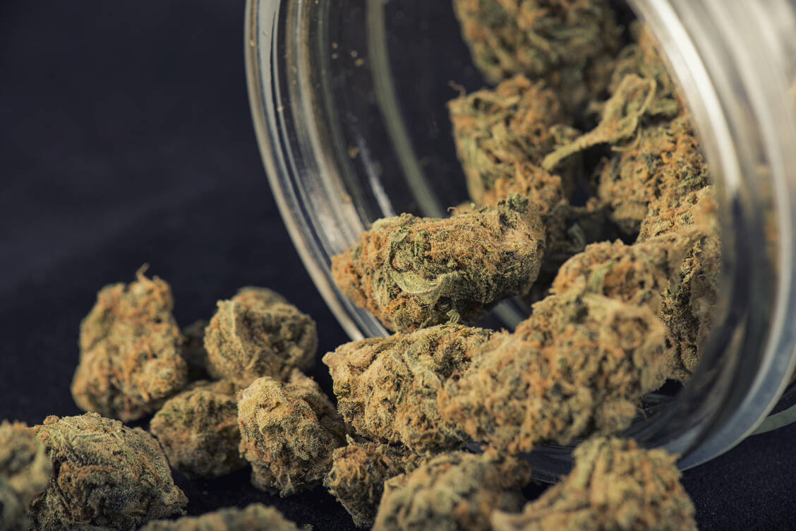 Bei der alternativen Identifizierung von Cannabisblüten gab es eine wichtige Änderung! / Foto: Shutterstock/Roxana Gonzalez