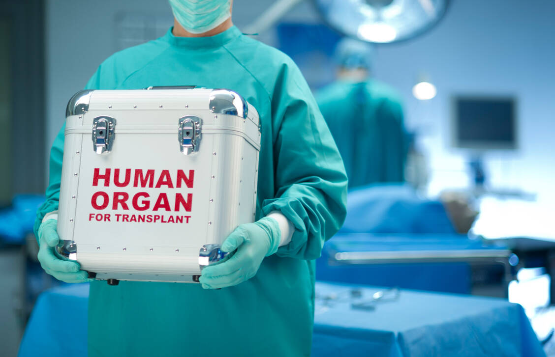 Die seltene und lebensbedrohliche Bluterkrankung EBV+ PTLD kann nach einer Organtransplantation auftreten. Mit Tabelecleucel gibt es nun eine neue Behandlungsmöglichkeit. / Foto: Getty Images/sturti