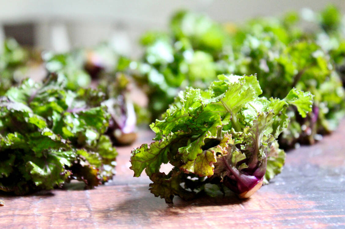 Neue Züchtung: Flower Sprouts oder auch Kalettes sind eine Kreuzung aus Grün- und Rosenkohl.  / Foto: Getty Images/ Valentina Magri