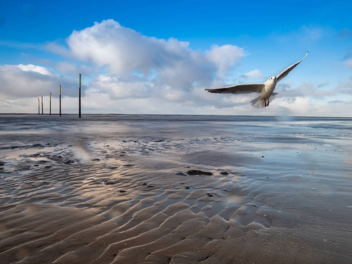 Bewegte Zeit für sich selbst in der Natur und bei Sonnenschein – das sind Faktoren fürs Urlaubsglück. / © Adobe Stock/Animaflora PicsStock