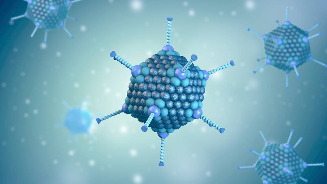 Viren werden vor allem als Verursacher von Krankheiten gesehen. Doch sie bieten auch Chancen. Das Adenovirus wird beispielsweise als Vektor in Impfstoffen eingesetzt. / Foto: Adobe Stock/Christoph Burgstedt