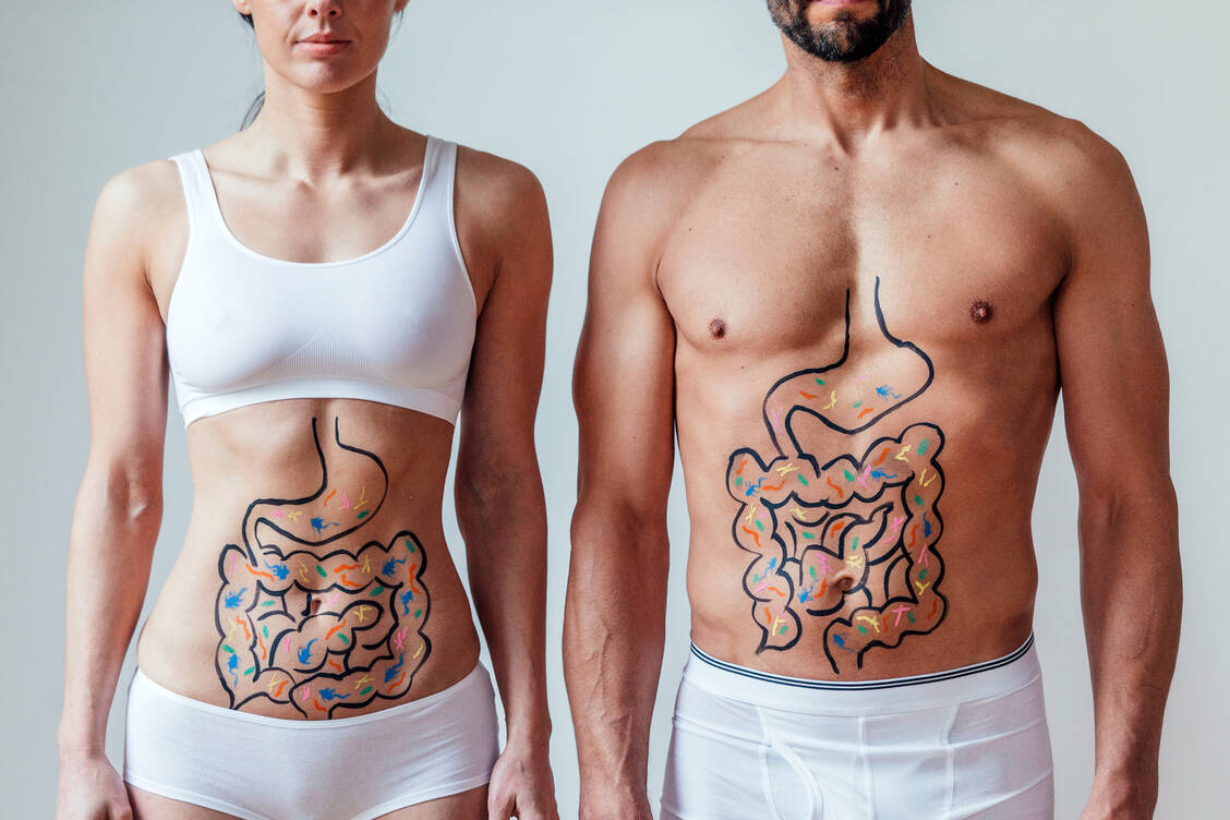 Jeder Mensch beherbergt ein individuelles Muster verschiedener Bakterienarten im Darm. / Foto: Getty Images/SolStock Graham Oliver