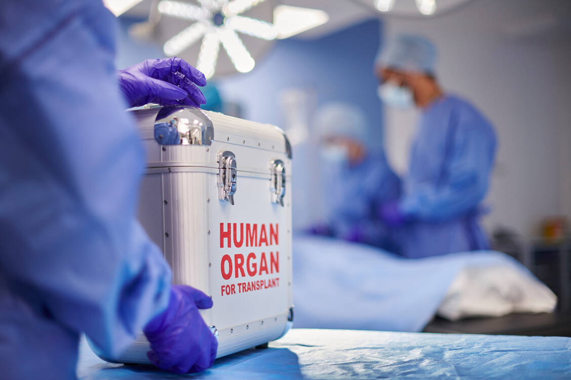 Bei der Transplantation wird ein unheilbar krankes Herz durch das eines hirntoten Spenders ersetzt. Dabei muss es recht schnell gehen: Die Zeit, in der das Organ nicht durchblutet wird,  sollte so kurz wie möglich sein. / Foto: Getty Images/sturti