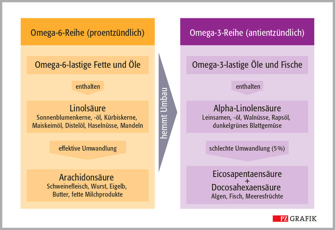 Omega-6- und auch Omega-3-Fettsäuren werden im Körper über die gleiche Enzymkaskade verstoffwechselt. Ein Zuviel an Omega-6- behindert den Umbau der Omega-3-Fettsäuren. / Foto: Jens Ripperger