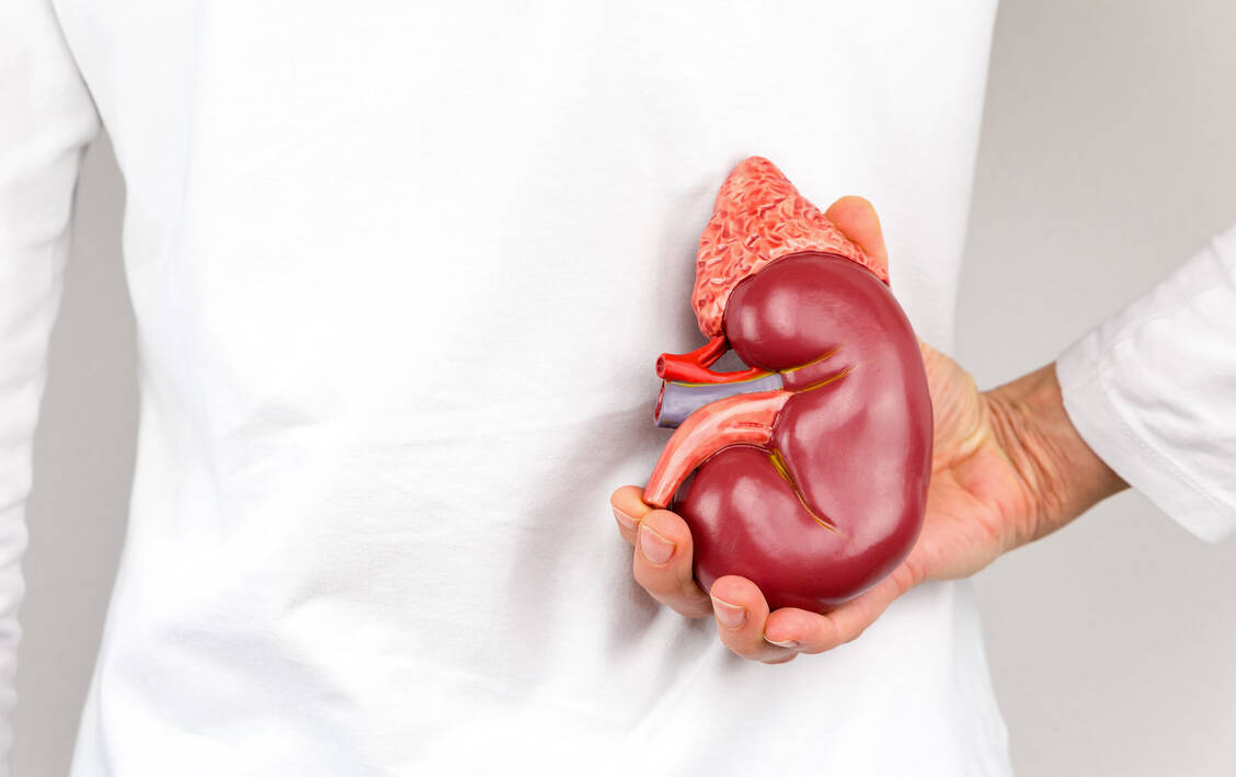 Nach Transplantation müssen Patienten auch die Einnahme von Nahrungsergänzungsmitteln mit dem Arzt absprechen. / Foto: Adobe Stock/Ben Schonewille