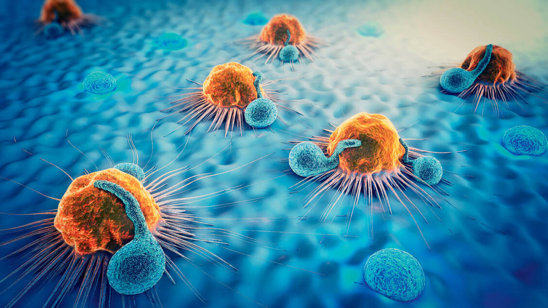 Manche Tumoren besitzen bestimmte Proteine, die die Wirkstoffe wieder aus der Krebszelle heraustransportieren. / Foto: Shutterstock/Christoph Burgstedt