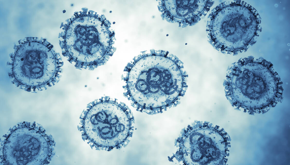 Das Hantavirus wird vor allem über Ausscheidungen von Nagern übertragen. Das Virus vom Andes-Typ ist jedoch eine Ausnahme. (Symbolbild) / © Getty Images/BlackJack3D