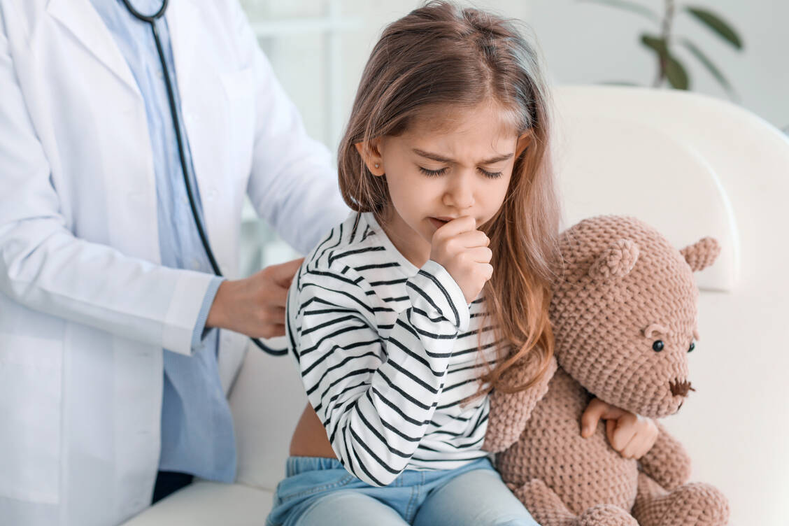 Bei einer bakteriellen Bronchitis ist eine frühzeitige Diagnose wichtig, um Schäden der Lunge zu vermeiden. / © Adobe Stock/Pixel-Shot
