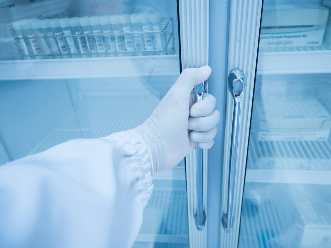 Im Kühlschrank beispielsweise wird der chemische Verderb verlangsamt. Dennoch ist eine gekühlte Lagerung nicht immer angebracht. / Foto: Adobe Stock/arcyto