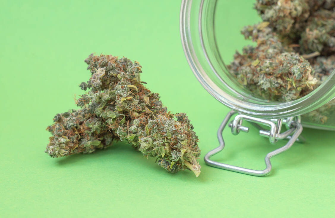 Cannabisblüten sind nicht mehr zulasten der GKV erstattungsfähig. / © Getty Images/Roman Barkov