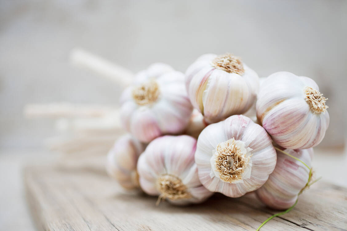 Knoblauchpulver kann aufgrund der traditionellen Verwendung unterstützend zur Vorbeugung bei Atherosklerose eingesetzt werden. / Foto: Getty Images/Robert Daly