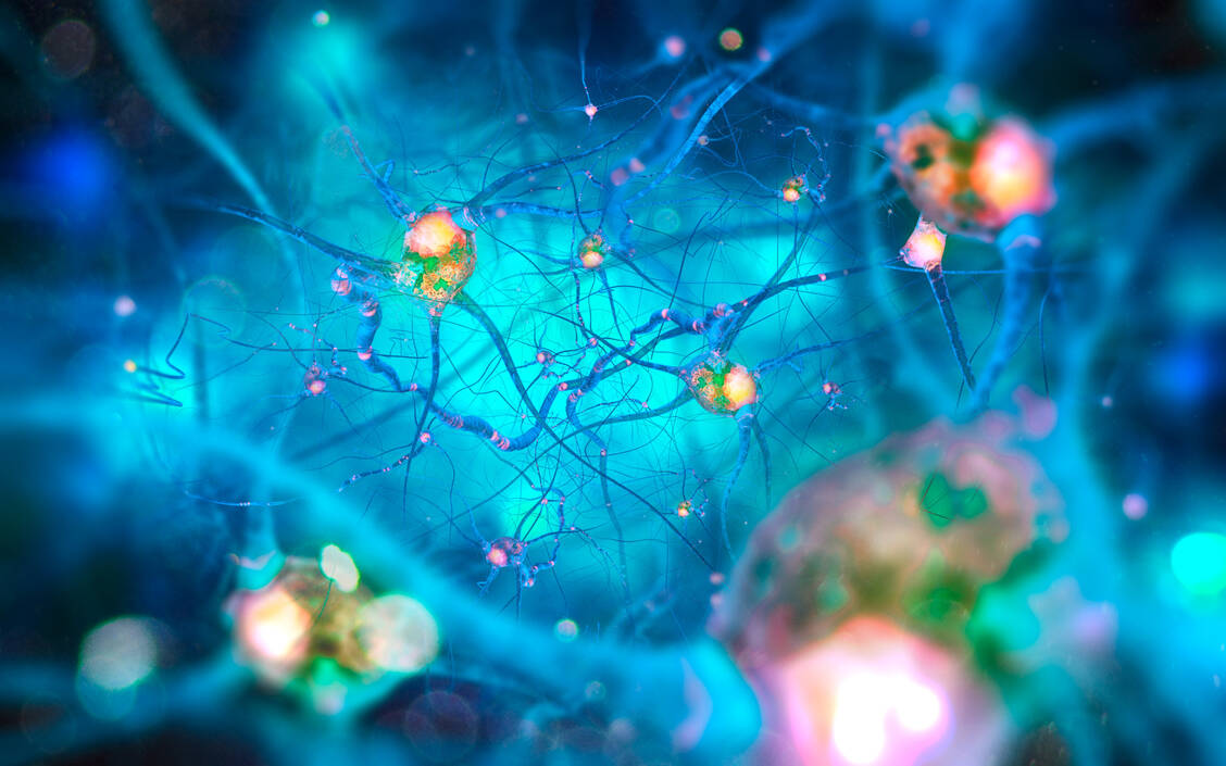 Neuropathischen Schmerzen liegt eine Schädigung des somatosensorischen Systems zugrunde.  / Foto: Adobe Stock/solvod