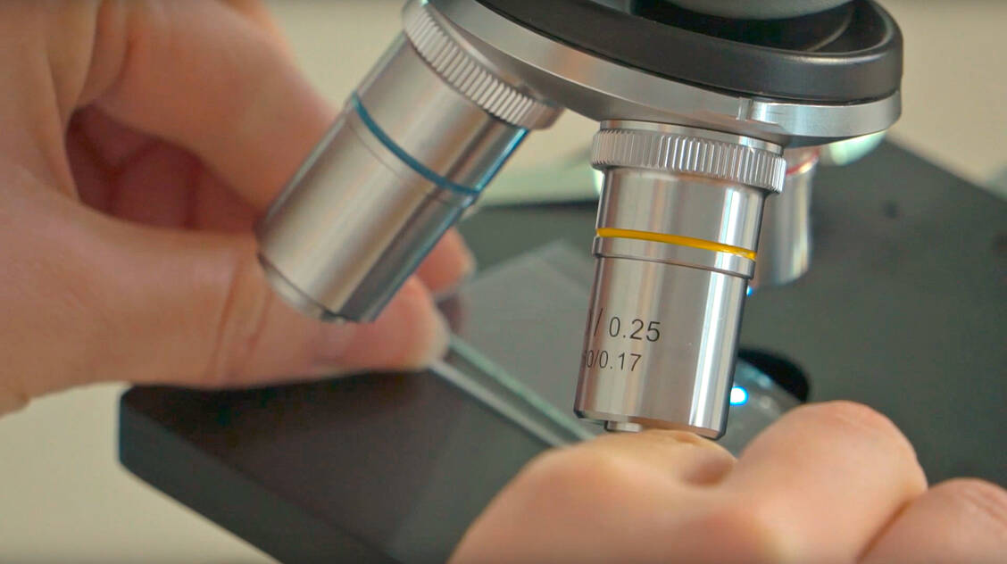Das Objektmikrometer muss vorsichtig eingespannt werden. / Foto: PTA-Forum, Rezepturhelfer auf Video (Screenshot)