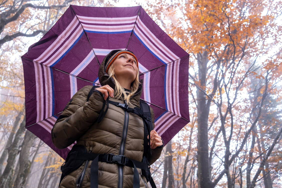 Auch wenn Kälte oder Regen nicht nach draußen locken: In die Natur gehen tut gut – auch im Winter.  / Foto: Getty Image/AlenaPaulus