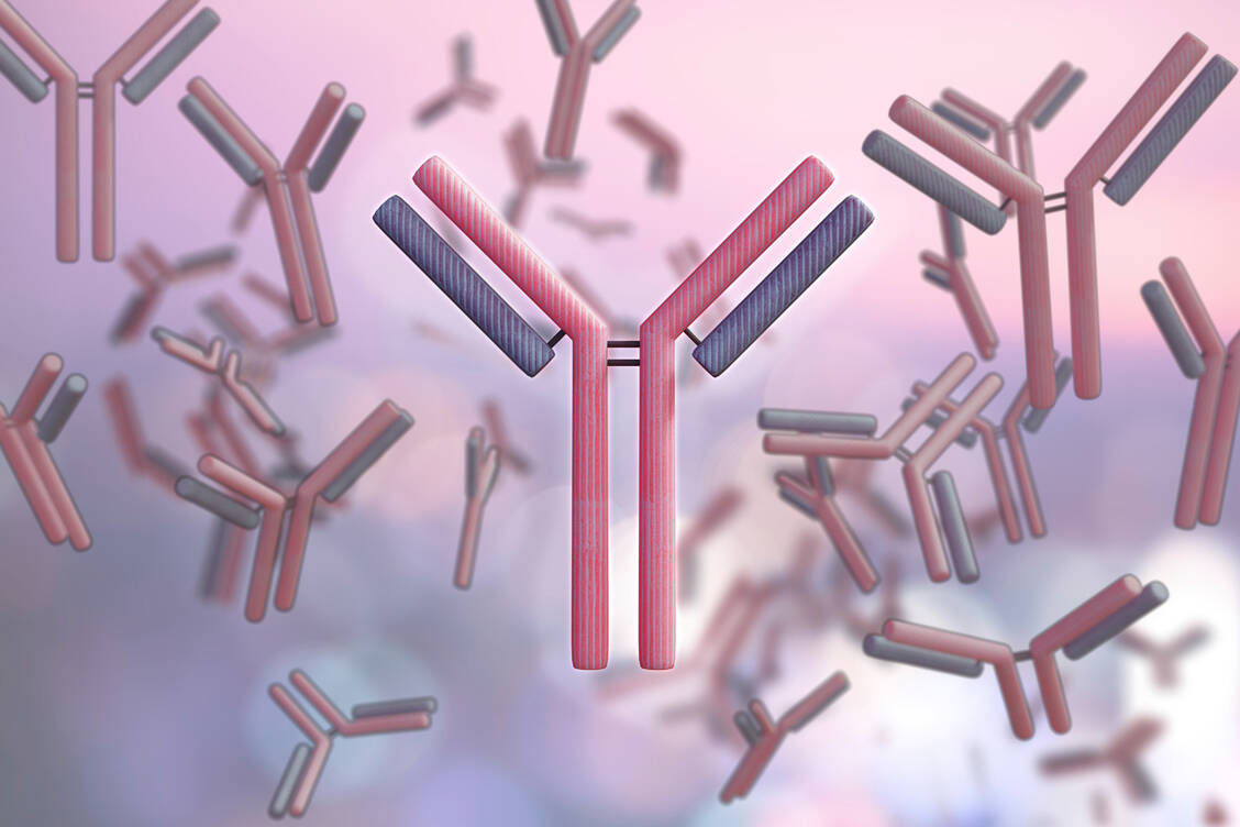 Lecanemab ist ein Antikörper, der das Fortschreiten von Alzheimer verlangsamen soll. / Foto: Getty Images/Science Photo Library