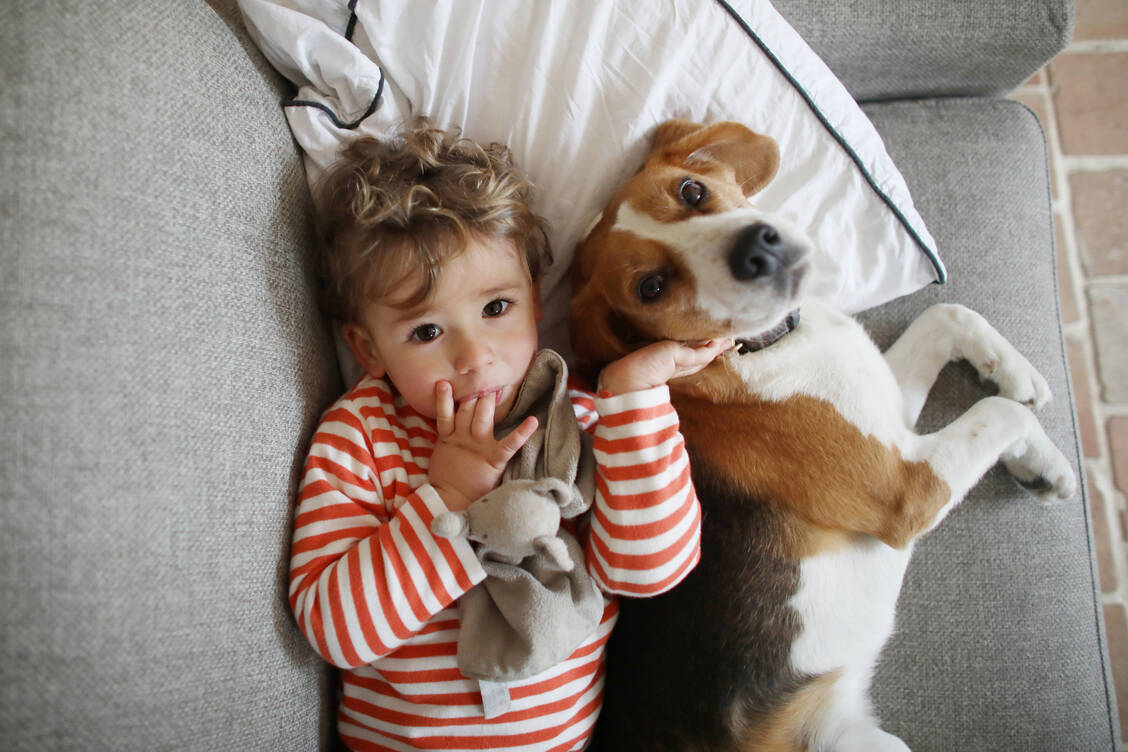 Wenn Kinder mit Hunden im Haushalt aufwachsen, könnte das einer Asthmaentwicklung im späteren Leben vorbeugen. / © Getty Images/Catherine Delahaye