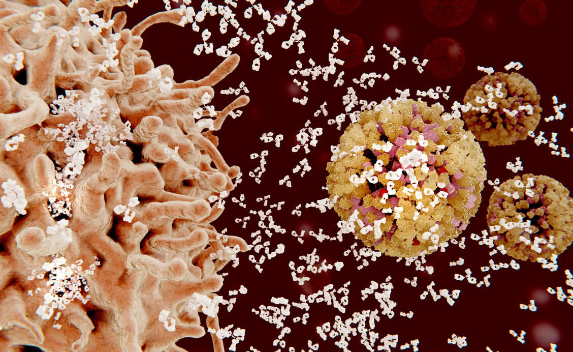 Ein Ansatz der Behandlung mit Antikörpern ist es, diese direkt aus dem Blut von Patienten zu gewinnen, die sich mit SARS-CoV-2 infiziert hatten. Deren Immunsystem hat die schützenden Proteine bereits gebildet. / Foto: Getty Images/Science Photo Library/Juan Gaertner