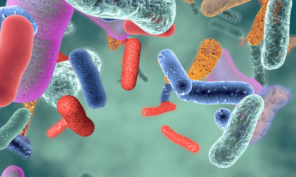 The vaginal microbiome changes constantly throughout a woman’s life - from birth through puberty and reproductive age to menopause. / Foto: Adobe Stock/picture-waterfall