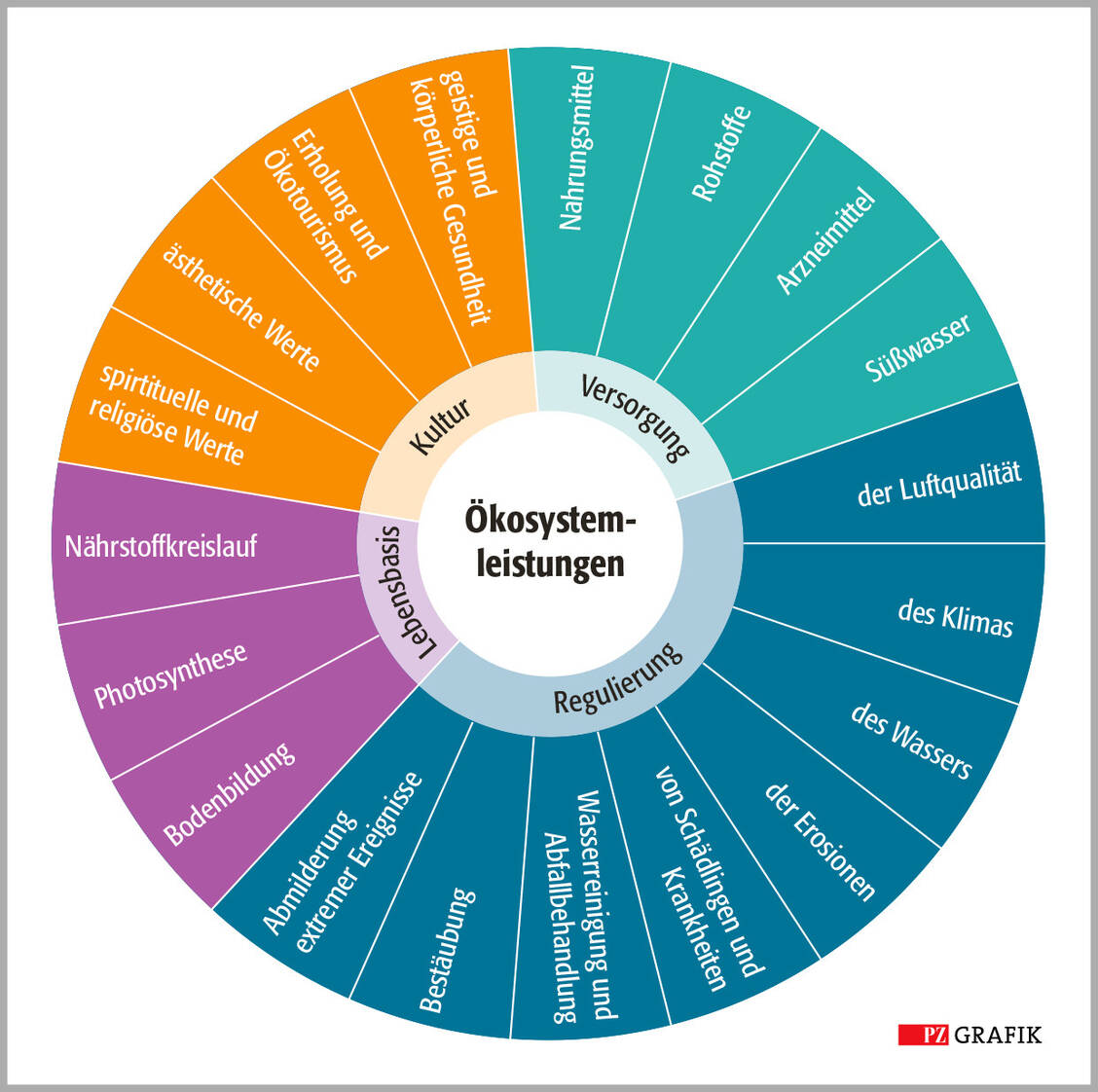 Vielschichtig, ineinandergreifend und nichts geht ohne das andere: Die Leistungsfähigkeit von Ökosystemen ist unmittelbar mit der Biodiversität in ihnen verknüpft. (Quelle: »Was hat die Mücke je für uns getan?« von F. Fischer und H. Oberhansberg) / © PZ Grafik/Jens Ripperger