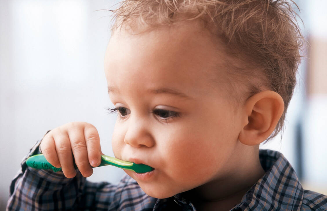 Geputzt wird ab dem ersten Milchzahn – je nachdem mit einer Zahnpasta mit oder ohne Fluorid.  / Foto: Getty Images/acilo