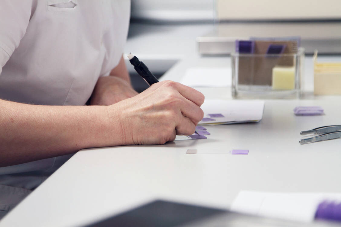 Im Gesetz steht, dass »die Angaben …mit Ausnahme der Nummer 5 in deutscher Sprache verfasst sein« müssen. / Foto: Getty Images/Sigrid Gombert