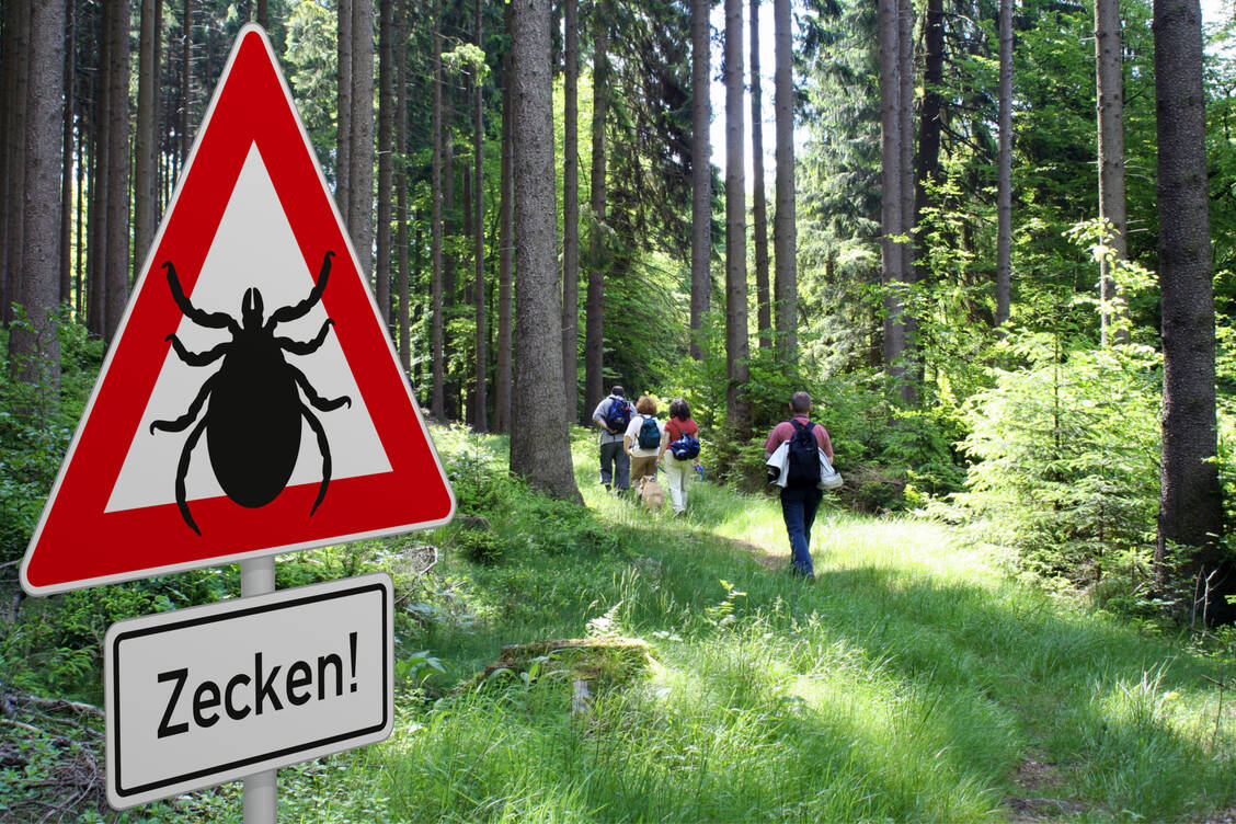 Lange Hosen und Strümpfe bieten auf Wanderungen durch Wald und Wiese einen ersten Schutzwall gegen Zecken. / Foto: Adobe Stock/Heiko Barth