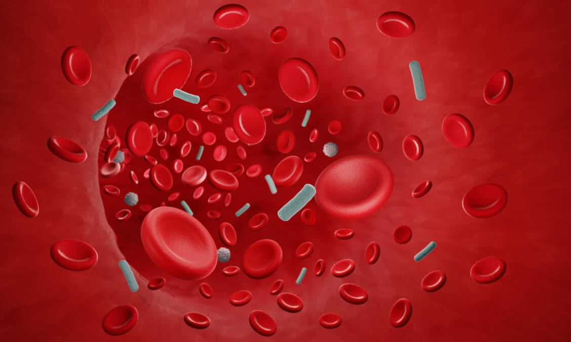 Bei einer Sepsis kommt es zu einer Überreaktion des Immunsystems. / Foto: Getty Images/Artur Plawgo