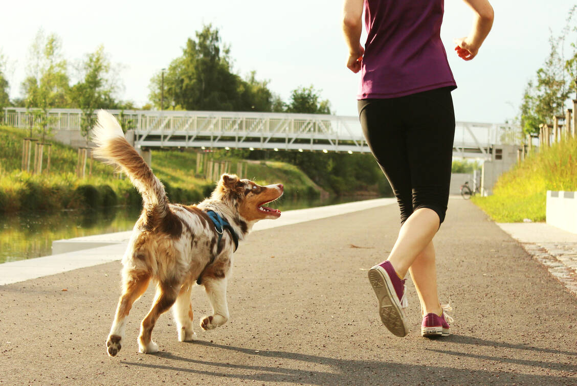 Gleicht aus und hält fit: Viele Menschen haben das Joggen in der Corona-Krise (wieder) für sich entdeckt. Ein positiver Trend – aber bitte an die Ansteckungsgefahr denken und auch hier Abstand halten. / Foto: Adobe Stock/frilled_dragon