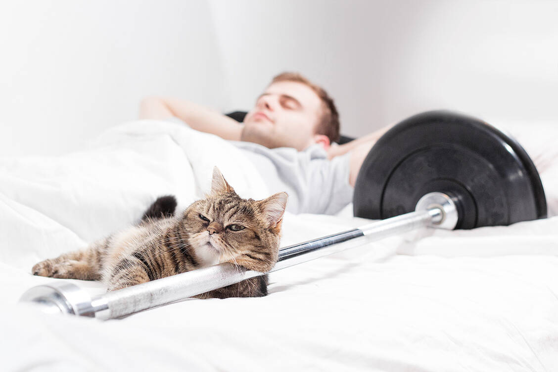 Früher ging man davon aus, dass Muskelkater von unerwünschten Stoffwechselprodukten wie Milchsäure kommt. Inzwischen weiß man, dass feine Risse in den Muskelfasern mittelbar die Ursache für die Schmerzen in den Muskeln sind. / © Adobe Stock/Evgeniy