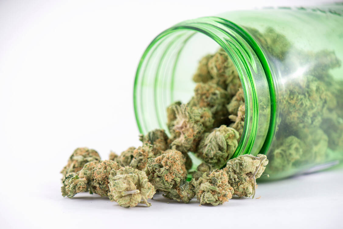 Bei der Vernichtung von Cannabisblüten gelten die Vorschriften für Betäubungsmittel. Pflicht sind zwei Zeugen und das Anfertigen eines Vernichtungsprotokolls. Eine Wiedergewinnung muss ausgeschlossen sein. / Foto: Adobe Stock/roxxyphotos