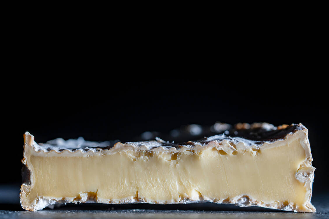 Der Schimmelpilz Penicillium ist Mikrobe des Jahres 2026. Er produziert das Antibiotikum Penicillin, rettete Millionen Menschenleben und spielt auch in Lebensmittelindustrie und Biotechnologie eine wichtige Rolle, zum Beispiel als Rinde bei Camenbert. / © Getty Images/intek1