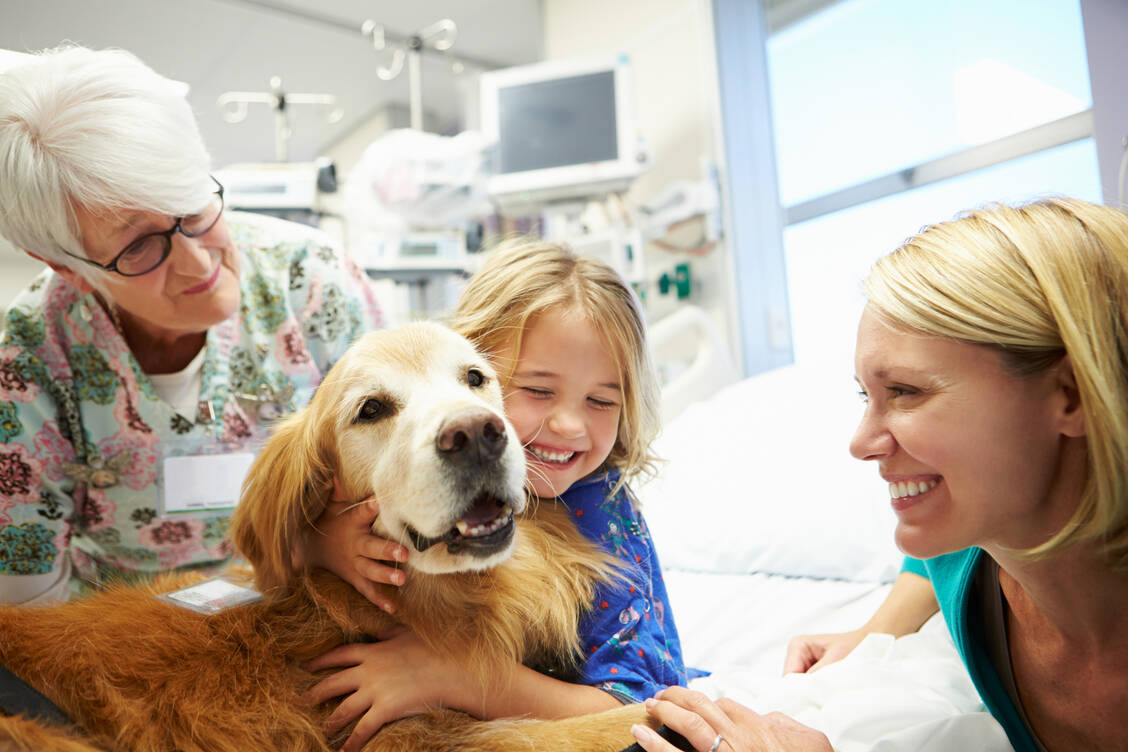 Hund können während der Wartezeit in der Notaufnahme das Befinden der Patienten deutlich verbessern. / Foto: Getty Images/monkeybusinessimages