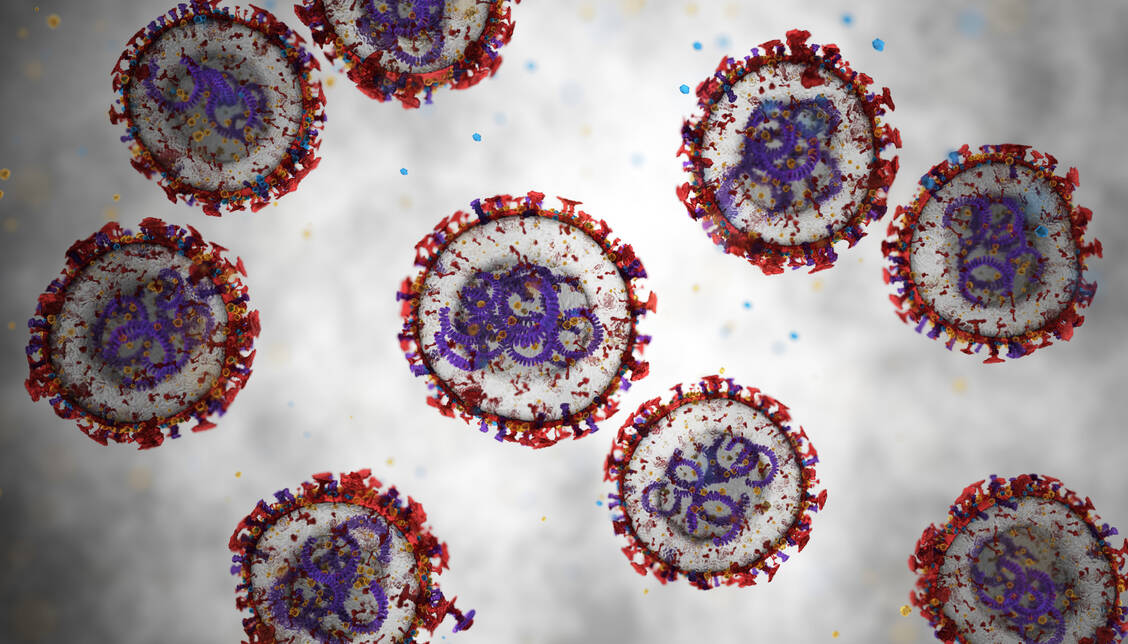 Auch nach dem Ende dieses Ausbruchs wird die WHO weiter in der Hantavirus-Forschung aktiv bleiben. / © Getty Images/BlackJack3D