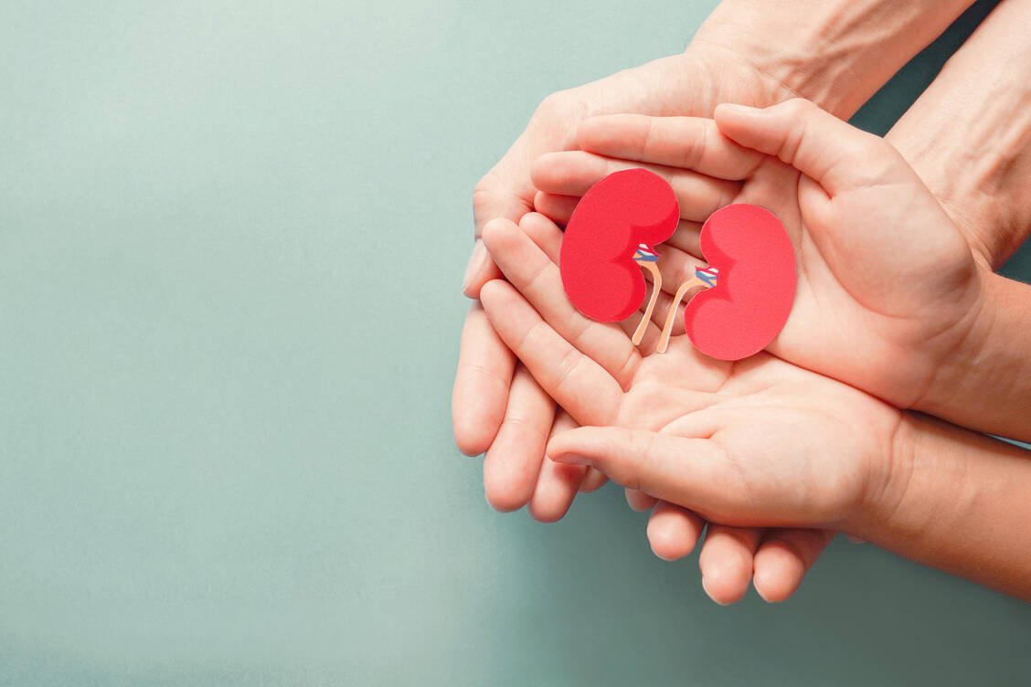 Viele Bundesbürger wären bereit, ein Organ zu spenden, haben ihre Bereitschaft jedoch nicht dokumentiert. / Foto: Adobe Stock/sewcream
