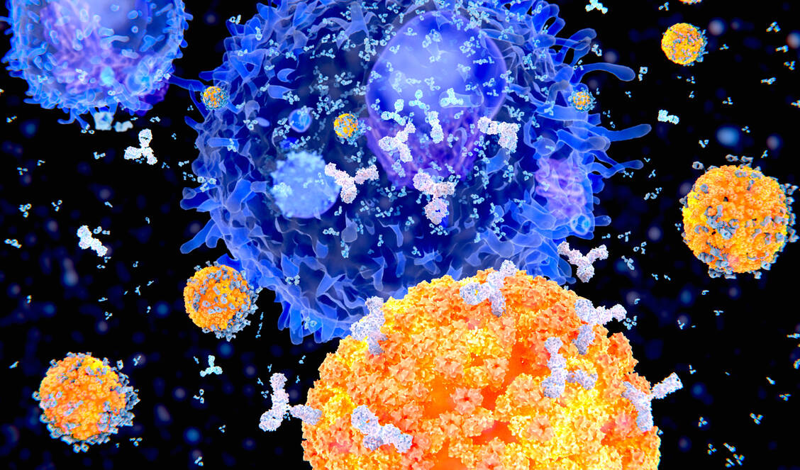 Das Immunsystem setzt sich ständig mit der Abwehr von Erregern wie Viren auseinander. / Foto: Getty Images/Juan Gärtner/Science Photo Library