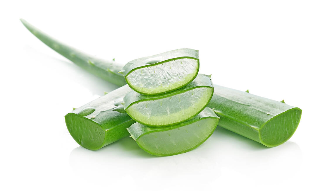 Aloe vera ist der Feuchtigkeitsspender schlechthin. / Foto: Adobe Stock/anatchant