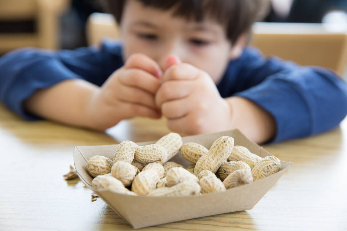 Bei einer Erdnussallergie reichen bereits Mikrogramm-Mengen des Allergens aus, um heftige Reaktionen hervorzurufen. / Foto: Getty Images/michellegibson
