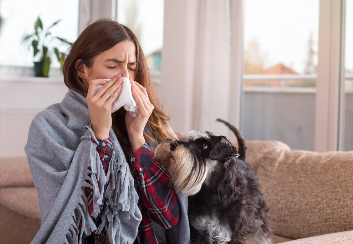 Der enge Kontakt zu einem Hund ist bei einer Erkältung kein Problem – weder für den Menschen, noch für das Tier. / Foto: ©Budimir Jevtic - stock.adobe.com