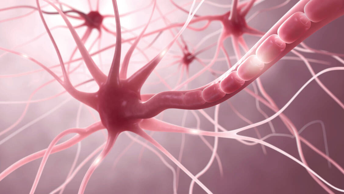 Therapien gegen Autoimmunerkrankungen wie Multiple Sklerose können die Funktion des Immunsystems beeinträchtigen. / Foto: Fotolia/ag visuell