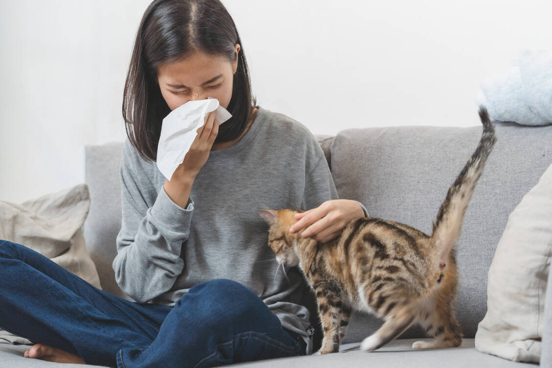 Besonders bei allergischer Rhinitis lindert eine Injektion mit BTX-A die Symptome. / © Adobe Stock/Pormezz