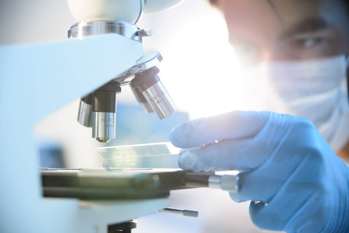 Mithilfe der Antivirulenztherapie versuchen Forscher, Bakterien harmlos zu machen. / Foto: Getty Images/Nicolas