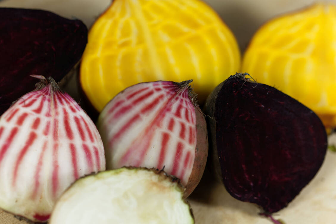 Rote Bete muss nicht immer rot sein, es gibt auch andersfarbige Zuchtformen. / Foto: Getty Images/weisschr
