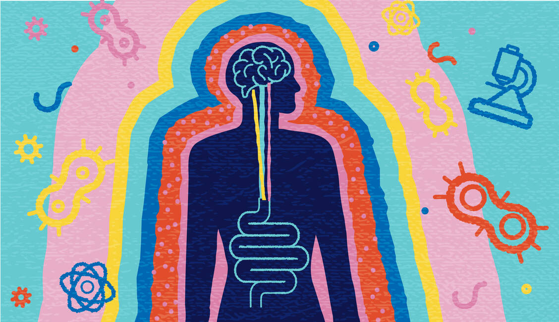 Die Kommunikation zwischen Darm und Gehirn erfolgt wechselseitig und beeinflusst die Gesundheit und das psychische Befinden. / © Getty Images/	JDawnInk
