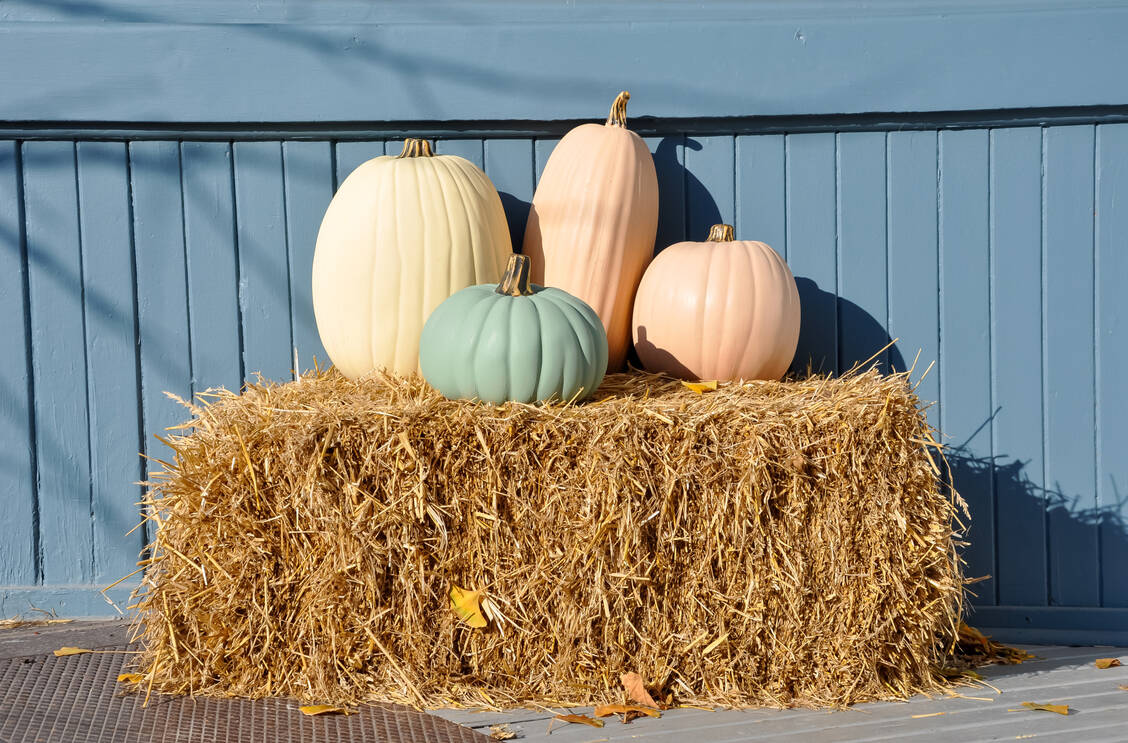 Der Herbst kommt – und mit ihm gleich vier neue Wirkstoffe. / Foto: Adobe Stock/labalajadia