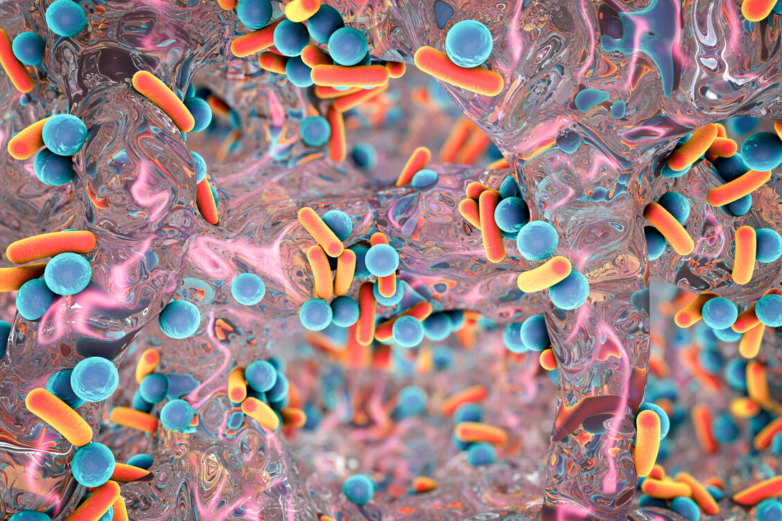 Im Biofilm sind die Erreger geschützt, was die Behandlung erschwert. / © Getty Images/KATERYNA KON/SCIENCE PHOTO LIBRARY