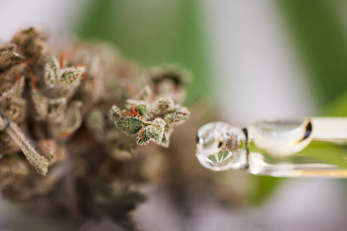 Bei dem Konsum von Cannabis sollte man auch an Wechselwirkungen zu anderen Arzneimitteln denken. / Foto: Adobe Stock/Elroi