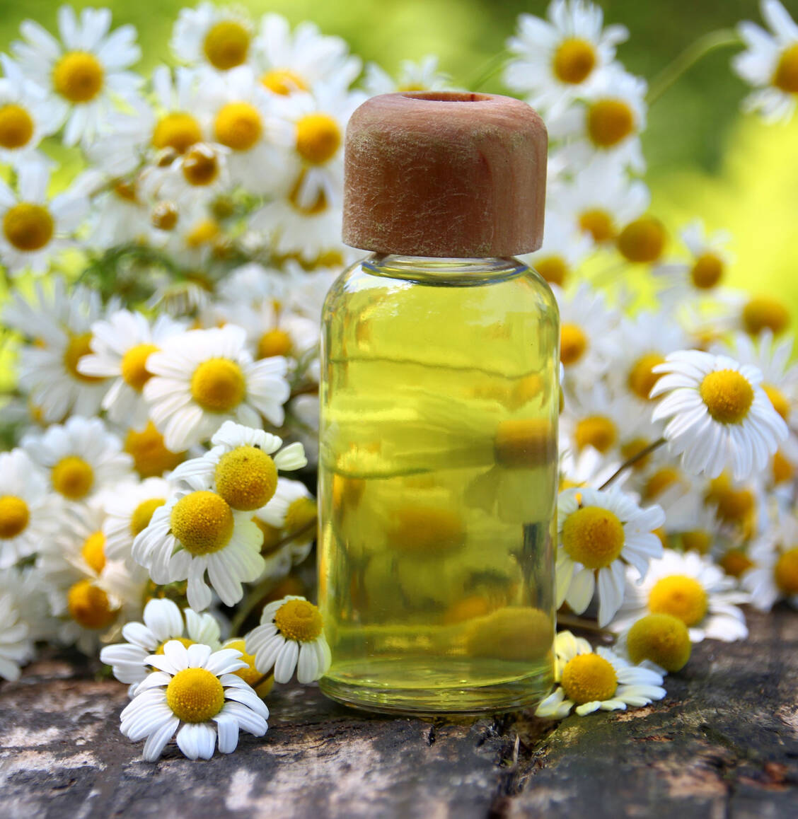 Pflanzenextrakte etwa aus der Kamille wirken entzündungshemmend und adstringierend. / Foto: Adobe Stock/goldbany
