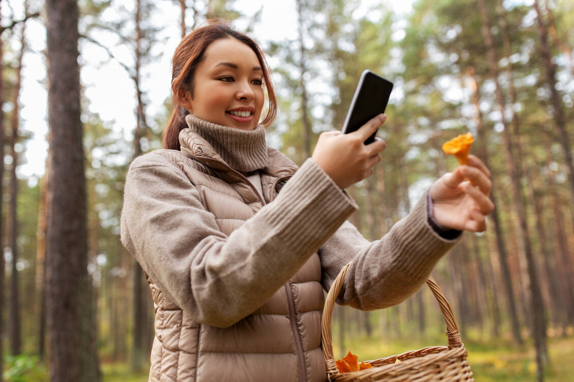 Pilz-Apps zur Bestimmung sind praktisch. Doch Experten warnen: Für Ungeübte besteht die Gefahr, giftige und essbare Pilze zu verwechseln. / Foto: Getty Images/dolgachov