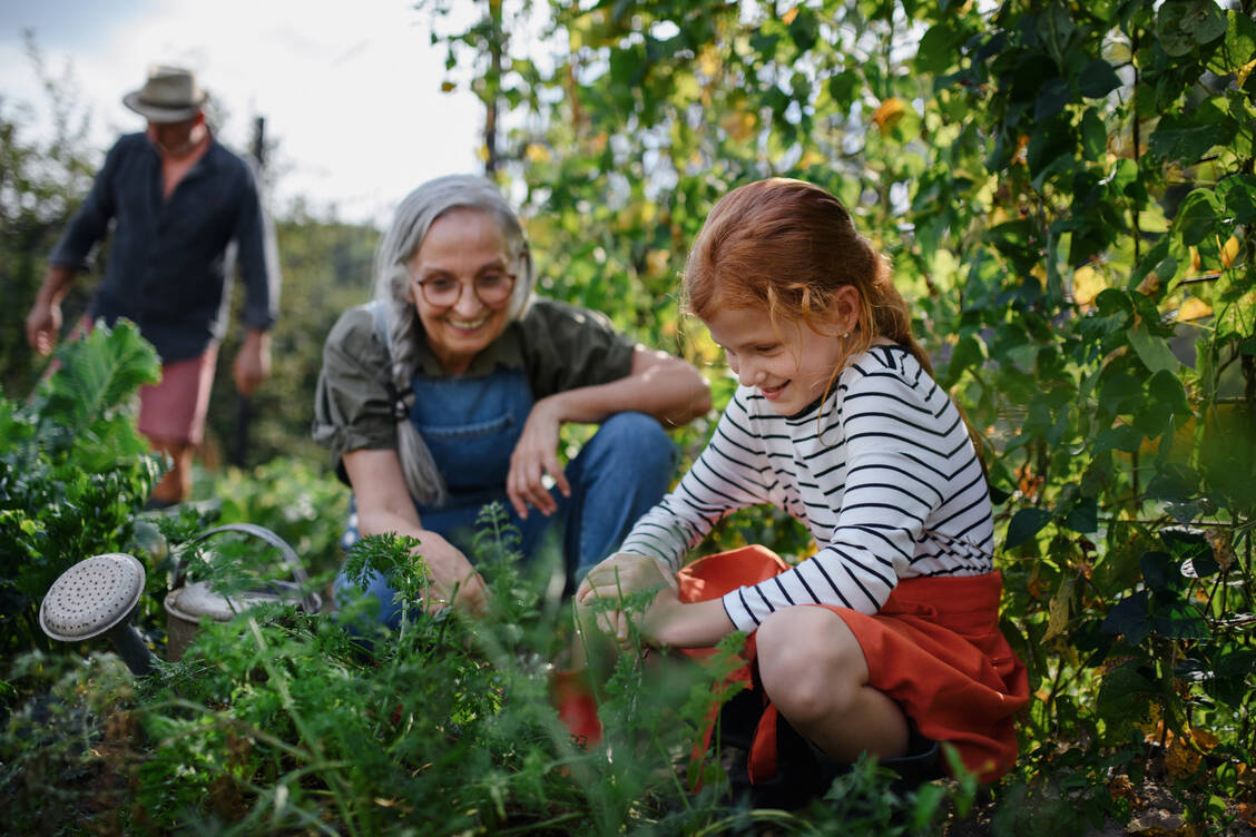 Ob bei der Arbeit im Garten, an einem Kaktus oder beim Werkeln – ein Splitter hat sich schnell durch die Haut gebohrt. / © Getty Images/Halfpoint Images