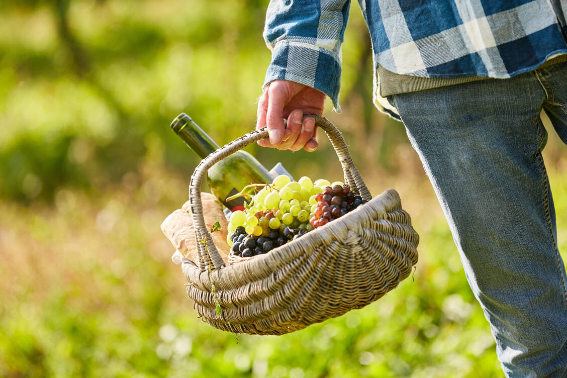 Rotwein in Maßen gilt als gesund: Ob der Inhaltsstoff Resveratrol aber tatsächlich so positiv auf Herz und Gefäße wirkt, ist in der Fachwelt umstritten. / Foto: Adobe Stock/Robert Kneschke